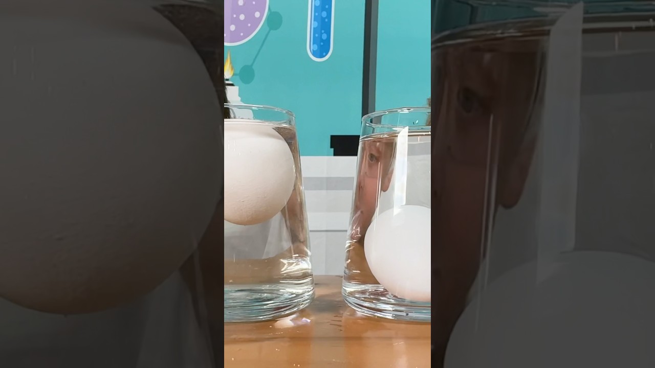 We made a submarine egg 