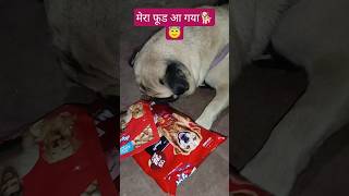 इसको मैं अभी खाऊंगा🐕😇😇 #shortsviral #funny # food# lover #pug