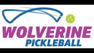 Wolverine Pickleball - 4.0+ Singles - Abhay Annaswamy vs Adrien Chauvier - Match 6