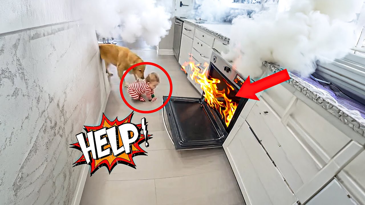 Dog Protects Baby—Heartwarming Moment!