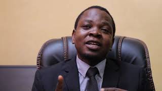 Deep Insight Series V1