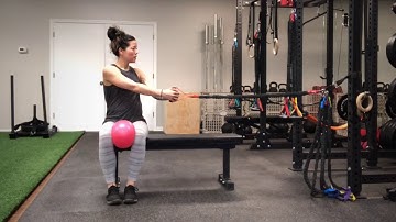 Pallof Rotation Variations