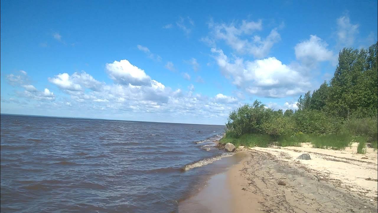 Кубенское озеро вологодская область пляж фото