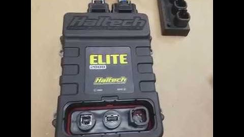 Wiring Specialties Haltech -ls engine harness