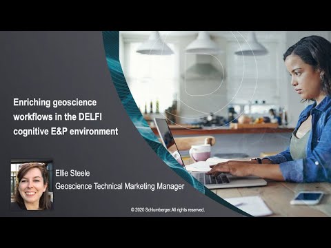 Enriching Geoscience Workflows with the DELFI Environment