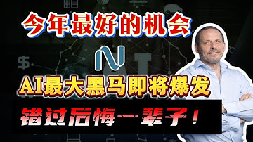 AI最大黑马！产能卖爆、Q3暴增355%却暴跌，翻倍黄金坑出现，你还不上车吗？TSLA，NVDA，PLTR，AAPL，META，MSFT，NBIS，#美股 #财经 #AI