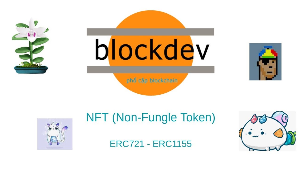 Outline Video NFT là gì? ERC721 vs ERC1155. Cách tạo NFT với Ethereum Solidity smart contract.|-blockdev-|