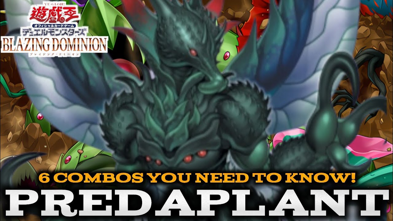 PREDAPLANT - 6 COMBOS YOU NEED TO KNOW! (Blazing Dominion & Limit Over Collection)