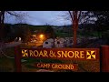 Roar  snore sleepover at san diego zoo safari park