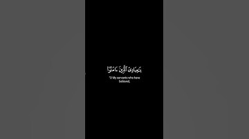 سورة العنكبوت - قاري عبد الرحمن مسعد #القرآن_الكريم #سورة_العنكبوت #shots