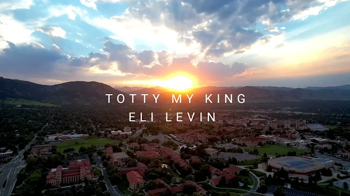 ELI LEVIN - Totty My King (Cover - Acapella)