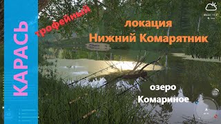 Русская рыбалка 4 - озеро Комариное - Карась трофейный под деревом