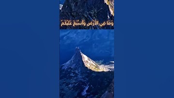 سورة لقمان و،،كا.نك تسمعها لأ،،و..ل مر.ة💚؛🏵️..💓🌼،💖🌸.🌹بصوت الشيخ حمزة مد.بو.ح 💕؛🧡،،💙💝؛،💮🌻🌷