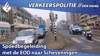 Spoedbegeleiding met de EOD naar Scheveningen