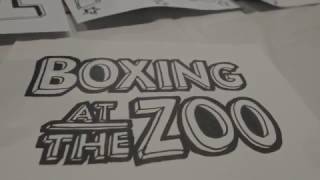 Watch Boxing At The Zoo Rainclouds video