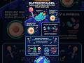 This Deadliest Virus is Actually Saving Human Life