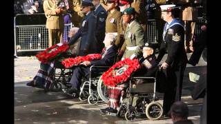 Memorial Day Tribute