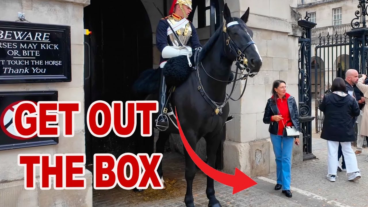 24 выходных ящика