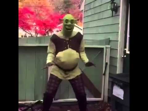 What are you doing in my SWAMP