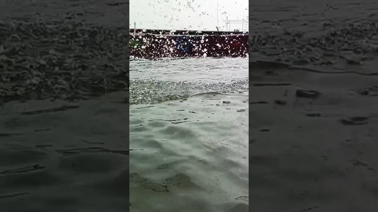 Passo Bem Solto 🌿 | Calm Riverside Vibes | Aesthetic Short Video