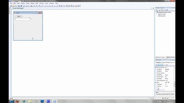 VB 2008 - Password Protected Form