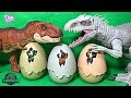 Hatch new Dinosaur Eggs with Jurassic World Dinosaurs!