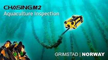 Chasing M2 - Real Case - Aquaculture mussel farm inspection - Grimstad, Norway