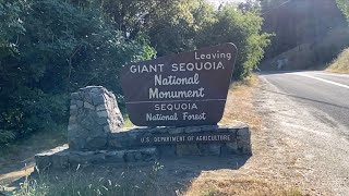 Giant Sequoia National Monument, a one day trip