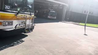 [TheBus, Honolulu 2020 Gillig Lowfloor 29'] [Oahu] Honolulu Bus #33 Route 85