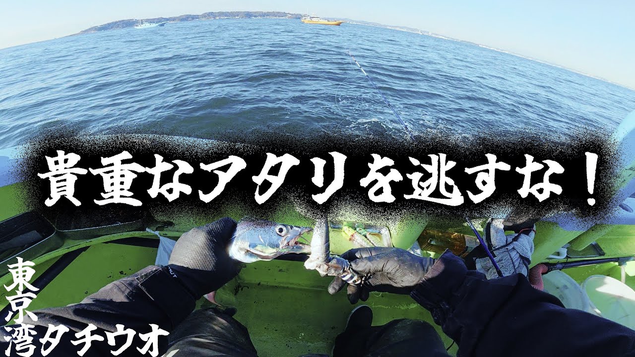 【東京湾タチウオ】貴重なアタリを逃すな！悶絶期のタチウオにテンヤで挑む【一之瀬丸】