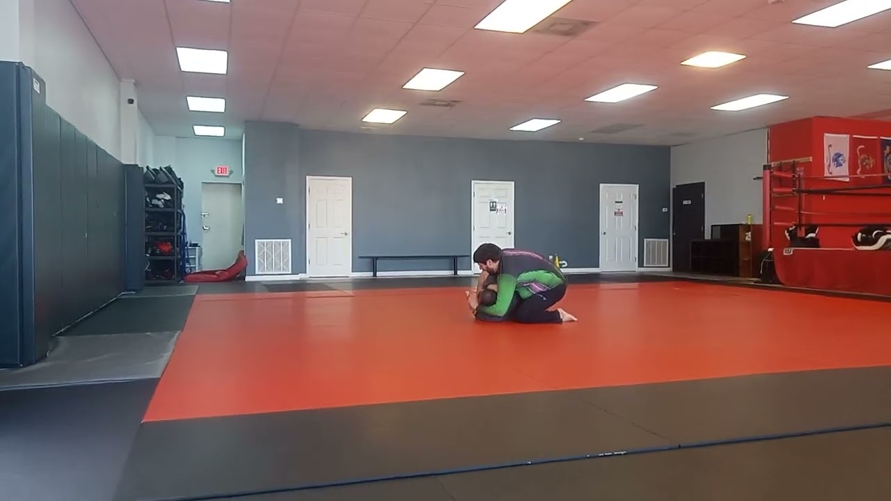 Julio the pitbull 2025