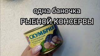 СУП ИЗ РЫБНОЙ КОНСЕРВЫ скумбрия, сельдь, сайра, сардина