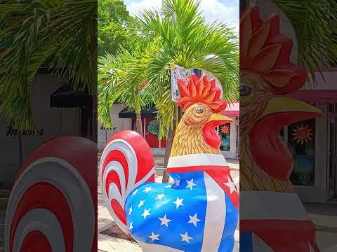 Video: Izpētiet Calle Ocho pilsētā Little Havana Miami