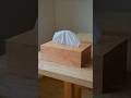 First Time Making a Wooden Tissue Box #shorts #woodworking #diy