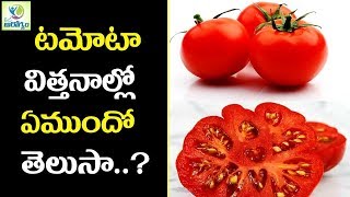 Health Benefits of eating tomatoes Nutritional facts of tomatoes seeds - Mana Arogyam Telugu Health