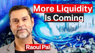 The Exponential Age: Liquidity Will Continue To Surge Into 2025 | Raoul Pal