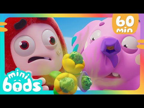 Flor Ou Chulé ? | 1 HORA DE MINIBODS BRASIL 🤣 | Desenhos Animados em Português