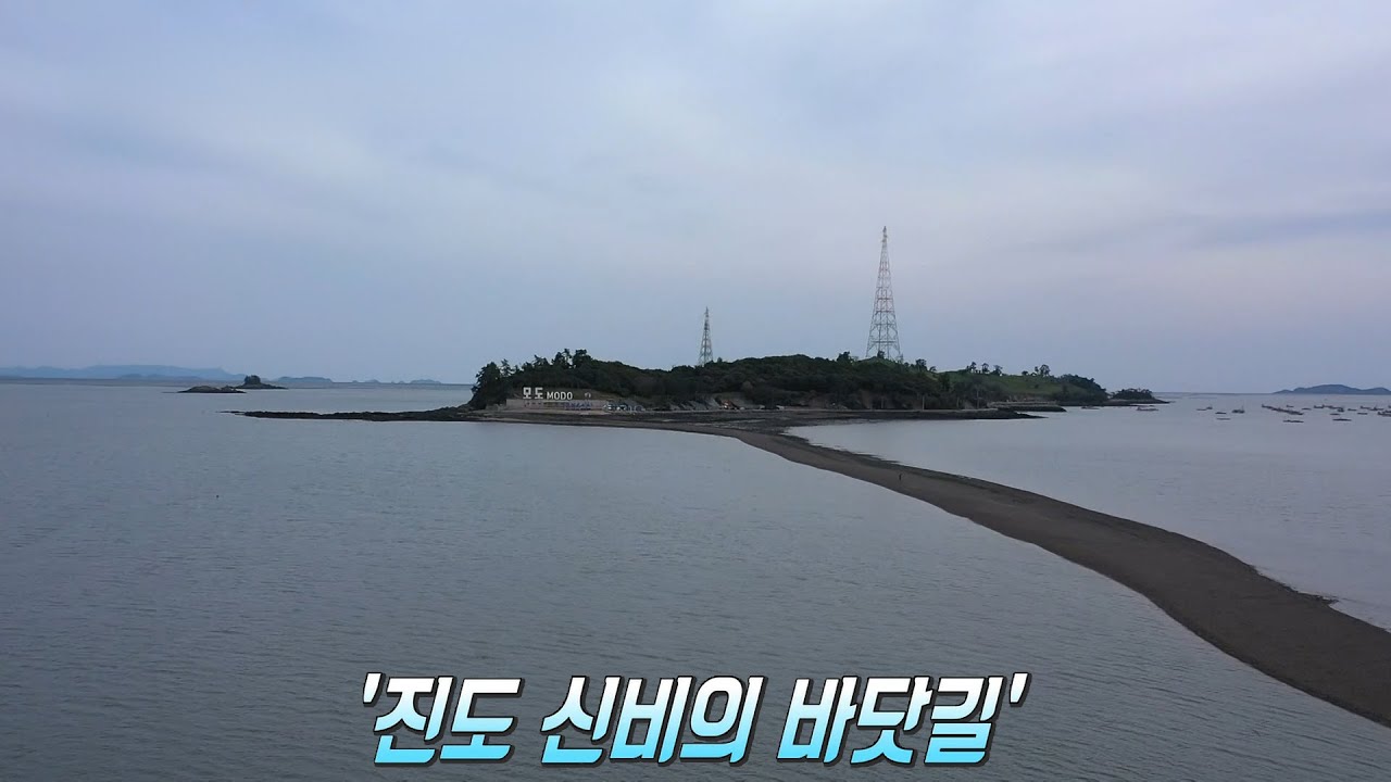 1시간 동안 열리는 특별한 ‘진도 신비의 바닷길’ - YouTube