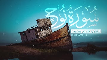 Qari Tariq Muhammad | Surah Nooh||سورة نوح كاملة للقارئ طارق محمد   تلاوة هادئة