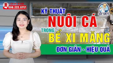 Kỹ thuật nuôi cá trong bể xi măng hiệu quả và đơn giản | Dr.Vet