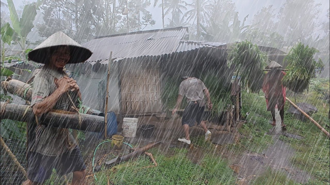 Very Heavy Rain Strong Wind and Thunder | Walking in Heavy Rain hit ...