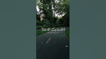 سورة التوبة بصوت القارئ محمد اللحيدان