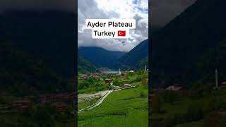 Morning Mist in Ayder: The Switzerland of Turkey 🇹🇷✨ #travelvlog #nature #Ayderplateau