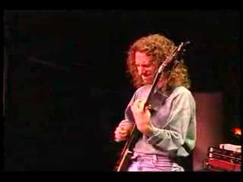 Michael Manring - Monkey Businessman