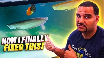 The Hidden Cause of Bacterial Bloom - (And The Solution)