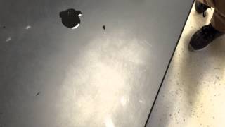 IMG 0142 IMG 0142