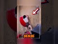 Japan Hiking Test: Can You Pass This Rock Obstacle Challenge? #shortsvideo