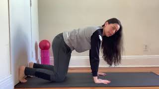 Bear plank w/ hamstrings