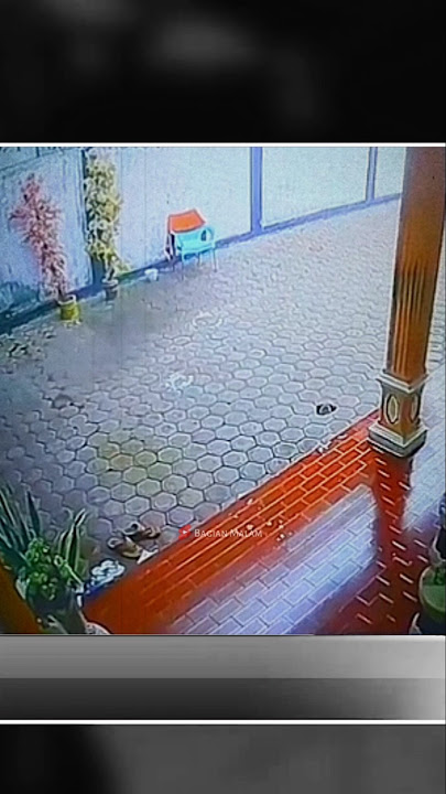 🔴 BABI NGEPET BENERAN KAH INI?? #penampakan #hantu #misteri #shorts #trending