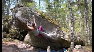 Godzilla Fb 6C - Boissy Norgevaux - Fontainebleau